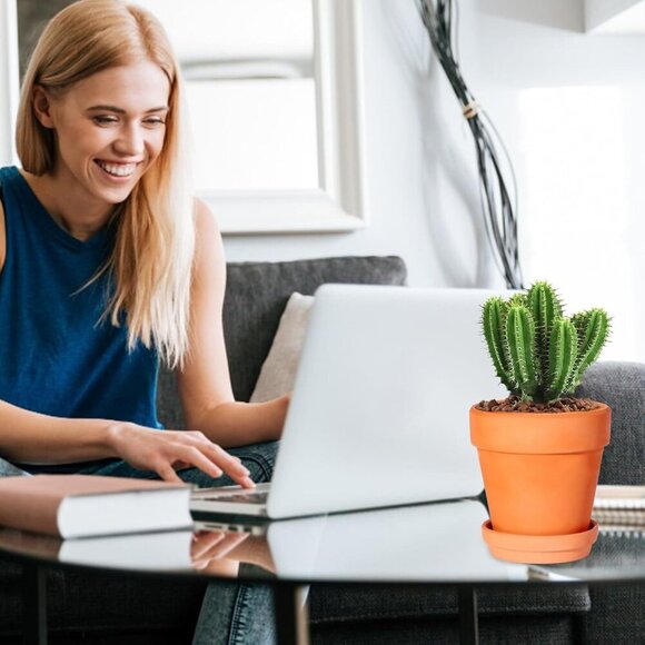 3 Inch Terracotta Pots with Saucer-20 Pack Succulent Cactus Plant Pots with Drai - Picture 6 of 7